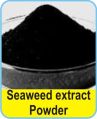 seaweed extract powder