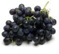 fresh black grapes
