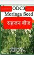 ODC3 Moringa Seeds