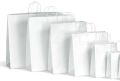 Plain White Kraft Paper Bags
