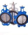 Stainless Steel Blue butterfly valves