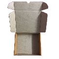 Plain Corrugated Packaging Box