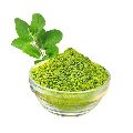 Organic Green Tulsi Powder