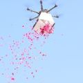Flower Dropping Drone