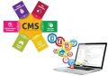 CMS Website Development Service