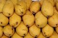 Fresh Benishan Mango