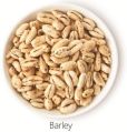 Barley Puffs