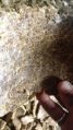 pure cotton seed oil cake