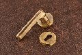 Brass Mortise Handle