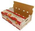 Himachal Apple Box