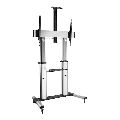 60-100 Inch Tv Trolley Stand