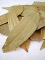 cinnamon dry leaves