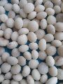 Super White Nirmali Seeds