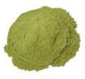 guava leaf powder
