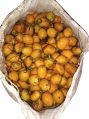 Riped betel nuts