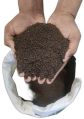 vermicompost powder