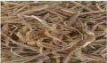 Organic Brown Dried shatavari root