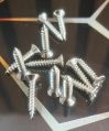 Stainless Steel Screws