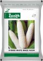 Noor Hybrid White Maize Seeds
