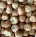 Common Brown dry betel nuts
