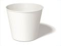 250 ml Plain Disposable Paper Cups