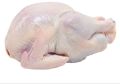 Light Red Manjara Poultry Frozen Halal Chicken Meat
