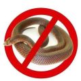 snake pest control services