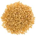 Brown Organic Wheat Seeds