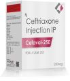 Cefaval 250 dry injection