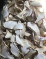 Creamy dried king oyster mushroom