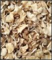 White Dried Oyster Mushroom