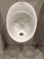 kohler patio urinal