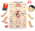 Human Body Wooden Puzzle