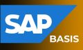 Best SAP BASIS Training from Hyderabad