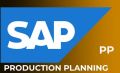 Best SAP PP Training from Hyderabad