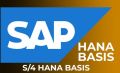Best SAP S4 Hana BASIS Training from Hyderabad