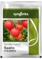 Tomato Hybrid Seed