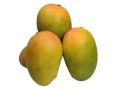 Kesar Fresh Mango