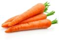 Red Fresh Carrot