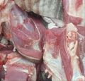 Light Red halal frozen goat meat