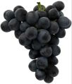 Natural a grade black fantasy seedless grapes