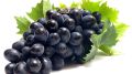 black sharad grapes