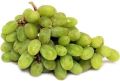 Fresh Ganesh Seedless Grapes