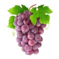 Natural purple grapes