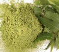 Green dry neem leaf powder