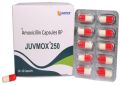 Juvmox 250mg Amoxicillin capsules