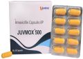 Amoxicillin 500 mg Capsules