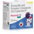 moxival cv oral suspension