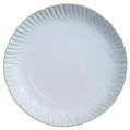 10 Inch Disposable Round Paper Plate