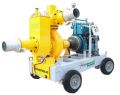 Electric Automatic Cosmos Pumps Dewatering System